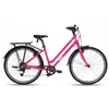 Frog Bikes Vélo City 67 26´´