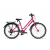 Frog Bikes Vélo City 61 24´´