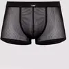 LHM Boxer transparent noir