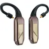 Récepteurs Bluetooth iFi Audio Go pod Max