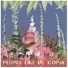 Discrepant People Like Us - Copia [Vinyl Lp]