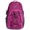Trespass - Sac à dos ALBUS (Taille unique) (Pourpre) - UTTP2936