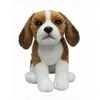 Generique Peluche Chien BEAGLE