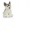 Living Nature Peluche chien Husky 22 cm - AN461