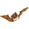 Peluche Living Nature - Petite chauve-souris (24 cm)