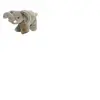 Aurora Elephant Eco Nation