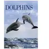 Acorn Media Dolphins Spy in the Pod