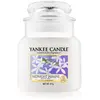 Yankee Candle bougie moyenne jarre, « Jasmin de minuit »