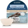 Yankee Candle Amber & Sandalwood tartelette en cire 22 g