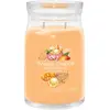 YANKEE CANDLE - Grande Jarre Glace à la Mangue Bougies 567 g unisex