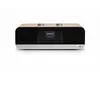 Accessoire Micro chaîne ROBERTS BLUTUNE 300LE BOIS CERISIER