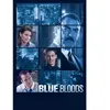 Import Blue Bloods Saison 6 DVD