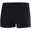 Speedo Boom Logo Splice Aquashort Homme