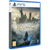 Jeu - Warner Bros - Hogwarts Legacy - PS5 - Aventure - 16+ - Blu-Ray