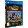 Harry Potter: Champions de Quidditch Edition Deluxe PS4 FR/NL