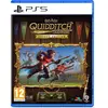 Warner Bros. HARRY POTTER: CHAMPIONS QUIDDITCH DELUXE EDITION FR/NL PS5 Playstation 5
