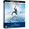 Warner Home Video Aquaman et le Royaume perdu Steelbook Blu-ray 4K Ultra HD
