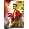 Warner Home Video Shazam ! La Rage des Dieux DVD