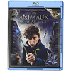 Warner Home Video Les animaux fantastiques [Blu-ray]