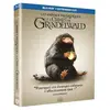 Warner Home Video Les Animaux fantastiques : Les Crimes de Grindelwald Blu-ray