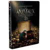 Warner Home Video Les Animaux fantastiques Steelbook Blu-ray 3D + 2D + DVD