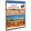 Warner Home Video Îles... était une fois : Le Retour à Madagascar - Combo Blu-Ray + DVD