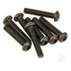 Vetta Racing Cap Head Hex Screw M3x5 (6pcs) (Karoo)