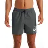 Nike Homme Short 5 Volley Maillot De Bain, Gris, L EU
