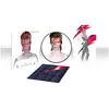 PARLOPHONE RECORDS Aladdin Sane 50th Anniversary Édition Limitée Picture Disc