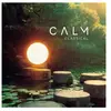 Disques vinyle Classique Warner Music Compilation - Calm Classical