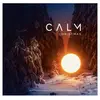 Disques vinyle Classique Warner Music Compilation - Calm Christmas