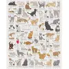 Puzzle Animaux - Ridley's Games - Amoureux des chats - 1000 pièces - Blanc