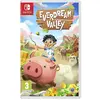 Just For Games Everdream Valley Nintendo Switch