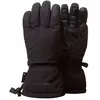 Trekmates Chamonix GTX Glove - Gants ski femme Black S