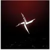 HYPERDUB Chemz-Dolphinz - Vinyle 45 Tours Ep