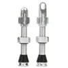 Paire de valves tubeless hope argent