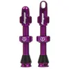 Paire de valves tubeless hope violet