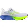 Mizuno Wave Rider 29