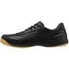 Chaussures de futsal Mizuno Morelia Sala Pro In IC 42