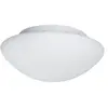 Searchlight Applique d'extérieur en verre Tokyo 28 cm IP44