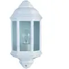 Searchlight Lanterne de jardin Outdoor Verre blanc 1 ampoule 36cm