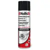 HOLTS Dégrippant Rustola DL 110