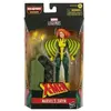 Hasbro Figurine Marvel X-Men Legends Screech 2