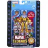 Hasbro Figurine Marvel Legends 20th Anniversaire - Marvel - Toad