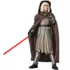 Hasbro Star Wars : Ahsoka Black Series - Figurine Shin Hati (Arcana) 15 cm