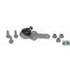 MOOG Rotule de suspension pour FORD: Focus (Ref: FD-BJ-0425)