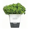 Cole & Mason | H105349 | Burwell Pot à Herbes Aromatiques avec Système D'irrigation Auto-Arrosage | Place pour 1 Pot | Blanc/Gris | 13,8 cm x 13,5 cm x 13,2 cm