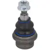 DELPHI Rotule de suspension pour AUDI: A8, S8 (Ref: TC3676)