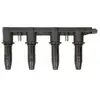 Delphi Bobine