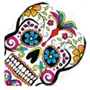 Non communiqué Ailettes Harrows Quadro 2003 Skull Coloré